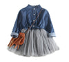 Denim & Toole Dress-Weston Kids