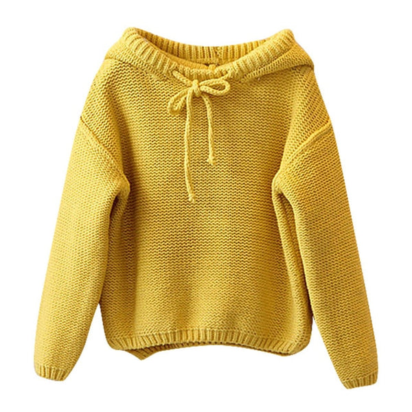 Knit Hooded Sweater